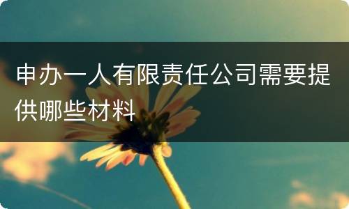 申办一人有限责任公司需要提供哪些材料