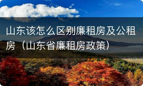 山东该怎么区别廉租房及公租房（山东省廉租房政策）