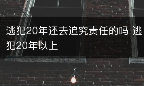 逃犯20年还去追究责任的吗 逃犯20年以上