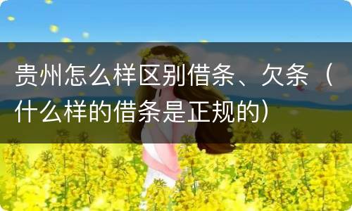 贵州怎么样区别借条、欠条（什么样的借条是正规的）