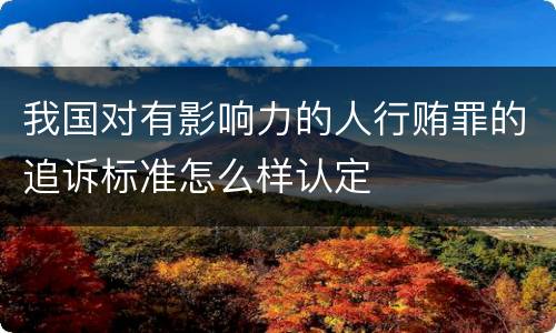 我国对有影响力的人行贿罪的追诉标准怎么样认定