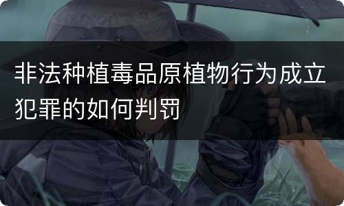 非法种植毒品原植物行为成立犯罪的如何判罚