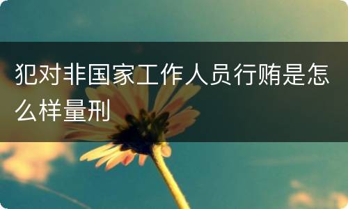 犯对非国家工作人员行贿是怎么样量刑