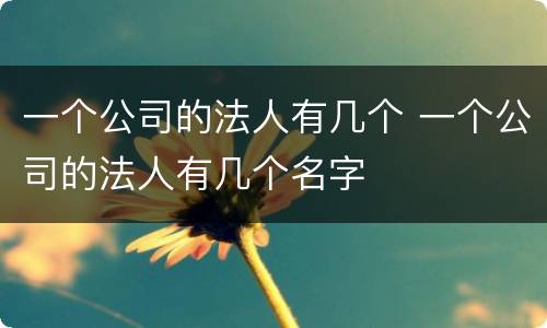 一个公司的法人有几个 一个公司的法人有几个名字