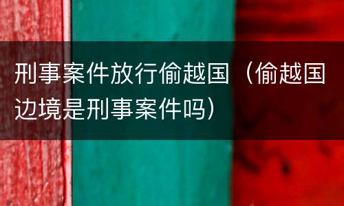 刑事案件放行偷越国（偷越国边境是刑事案件吗）