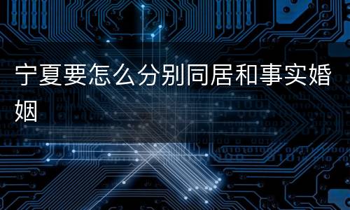 宁夏要怎么分别同居和事实婚姻