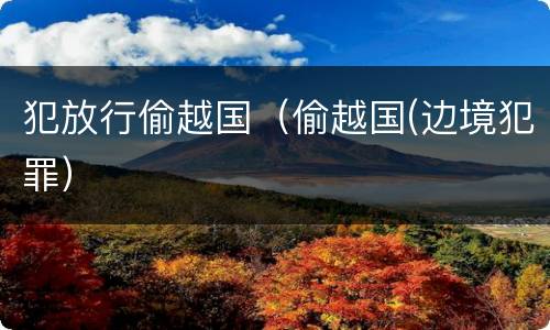 犯放行偷越国（偷越国(边境犯罪）