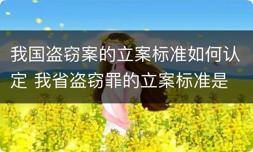 我国盗窃案的立案标准如何认定 我省盗窃罪的立案标准是