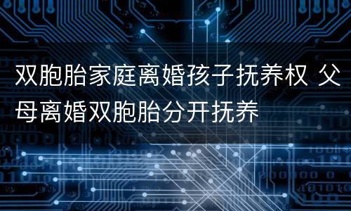 双胞胎家庭离婚孩子抚养权 父母离婚双胞胎分开抚养