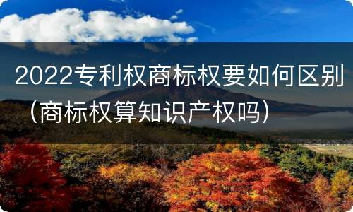 2022专利权商标权要如何区别（商标权算知识产权吗）