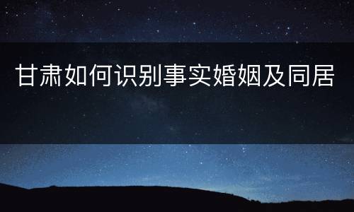甘肃如何识别事实婚姻及同居