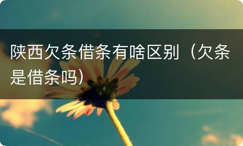 陕西欠条借条有啥区别（欠条是借条吗）