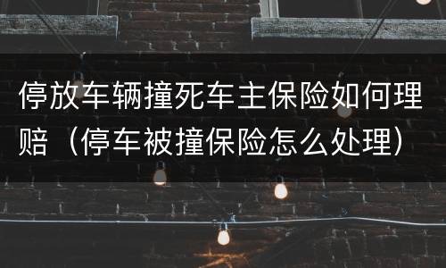 停放车辆撞死车主保险如何理赔（停车被撞保险怎么处理）