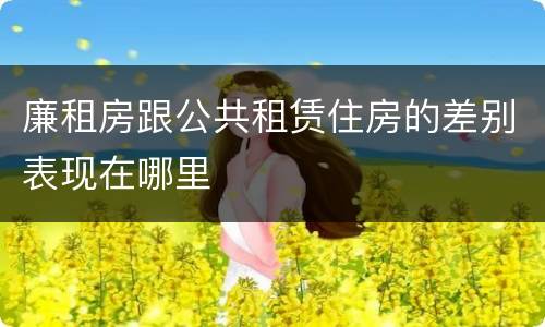 廉租房跟公共租赁住房的差别表现在哪里