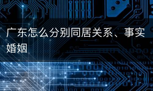 广东怎么分别同居关系、事实婚姻