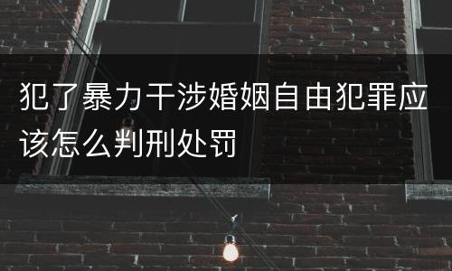 犯了暴力干涉婚姻自由犯罪应该怎么判刑处罚
