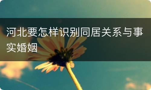 河北要怎样识别同居关系与事实婚姻