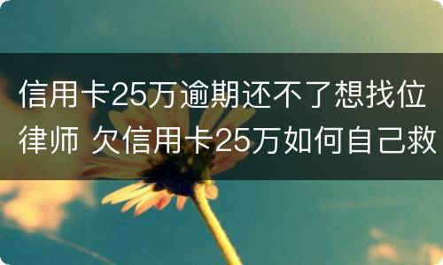 信用卡25万逾期还不了想找位律师 欠信用卡25万如何自己救