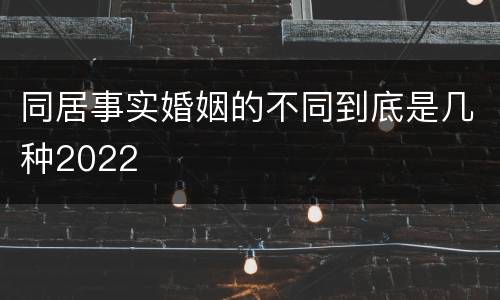 同居事实婚姻的不同到底是几种2022