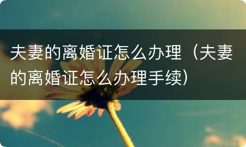 夫妻的离婚证怎么办理（夫妻的离婚证怎么办理手续）