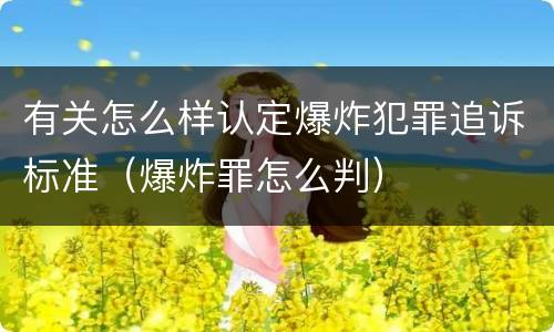 有关怎么样认定爆炸犯罪追诉标准（爆炸罪怎么判）