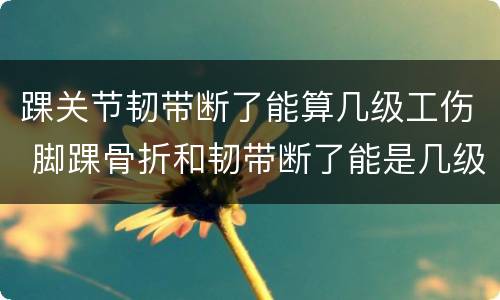 踝关节韧带断了能算几级工伤 脚踝骨折和韧带断了能是几级伤残