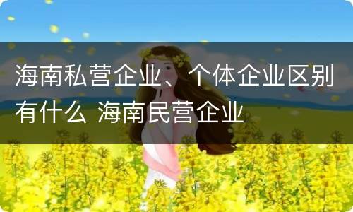 海南私营企业、个体企业区别有什么 海南民营企业