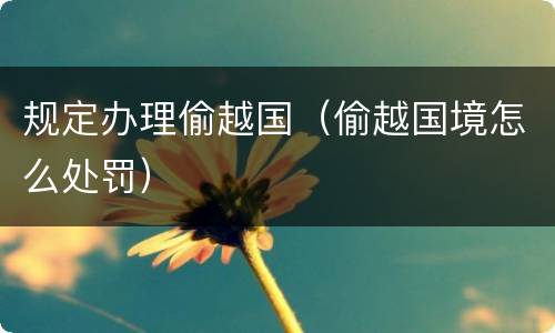 规定办理偷越国（偷越国境怎么处罚）