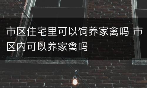 市区住宅里可以饲养家禽吗 市区内可以养家禽吗