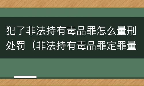 犯了非法持有毒品罪怎么量刑处罚（非法持有毒品罪定罪量刑）