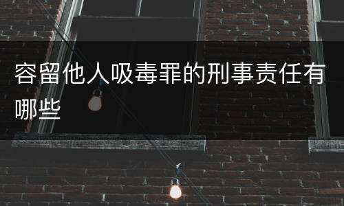 容留他人吸毒罪的刑事责任有哪些