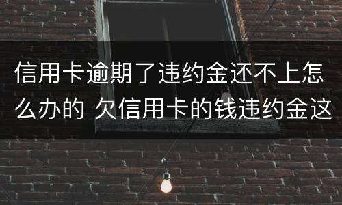 信用卡逾期了违约金还不上怎么办的 欠信用卡的钱违约金这么高