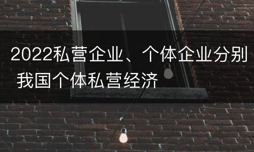2022私营企业、个体企业分别 我国个体私营经济