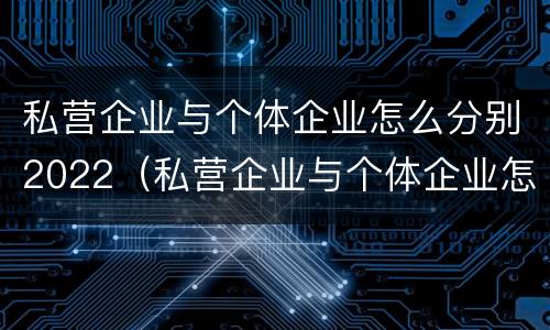 私营企业与个体企业怎么分别2022（私营企业与个体企业怎么分别2022年报税）