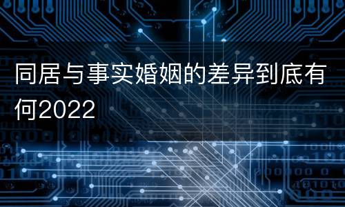 同居与事实婚姻的差异到底有何2022