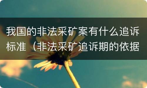 我国的非法采矿案有什么追诉标准（非法采矿追诉期的依据）