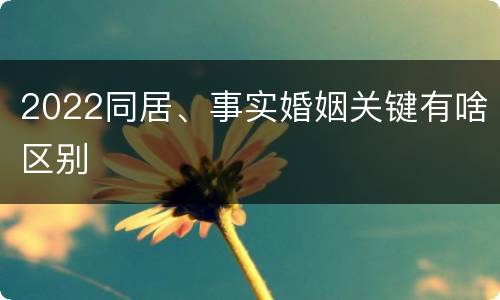 2022同居、事实婚姻关键有啥区别