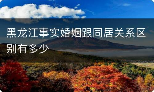 黑龙江事实婚姻跟同居关系区别有多少