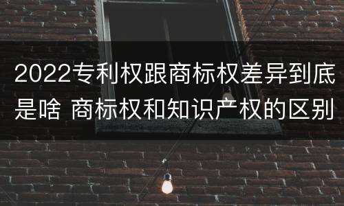 2022专利权跟商标权差异到底是啥 商标权和知识产权的区别