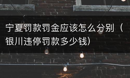 宁夏罚款罚金应该怎么分别（银川违停罚款多少钱）