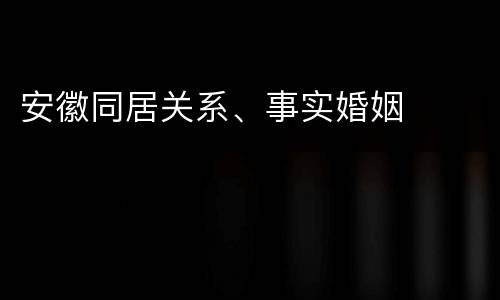 安徽同居关系、事实婚姻