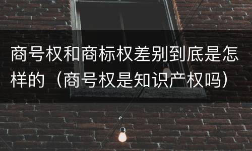 商号权和商标权差别到底是怎样的（商号权是知识产权吗）