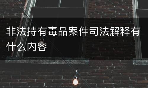 非法持有毒品案件司法解释有什么内容
