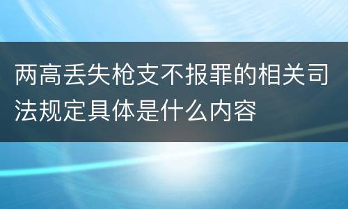 两高丢失枪支不报罪的相关司法规定具体是什么内容