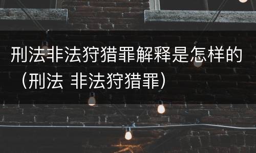 刑法非法狩猎罪解释是怎样的（刑法 非法狩猎罪）