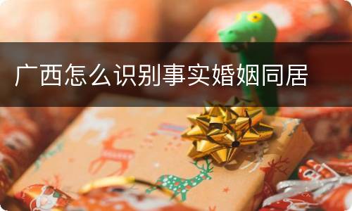 广西怎么识别事实婚姻同居