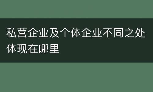 私营企业及个体企业不同之处体现在哪里