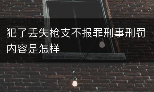 犯了丢失枪支不报罪刑事刑罚内容是怎样