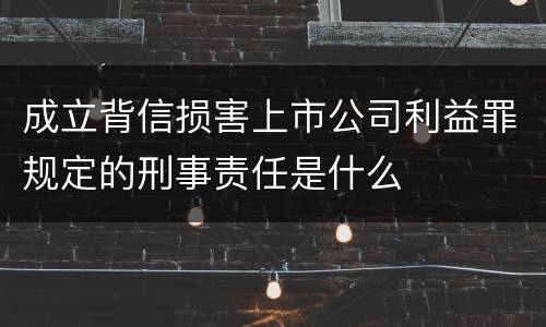 成立背信损害上市公司利益罪规定的刑事责任是什么
