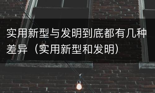 实用新型与发明到底都有几种差异（实用新型和发明）